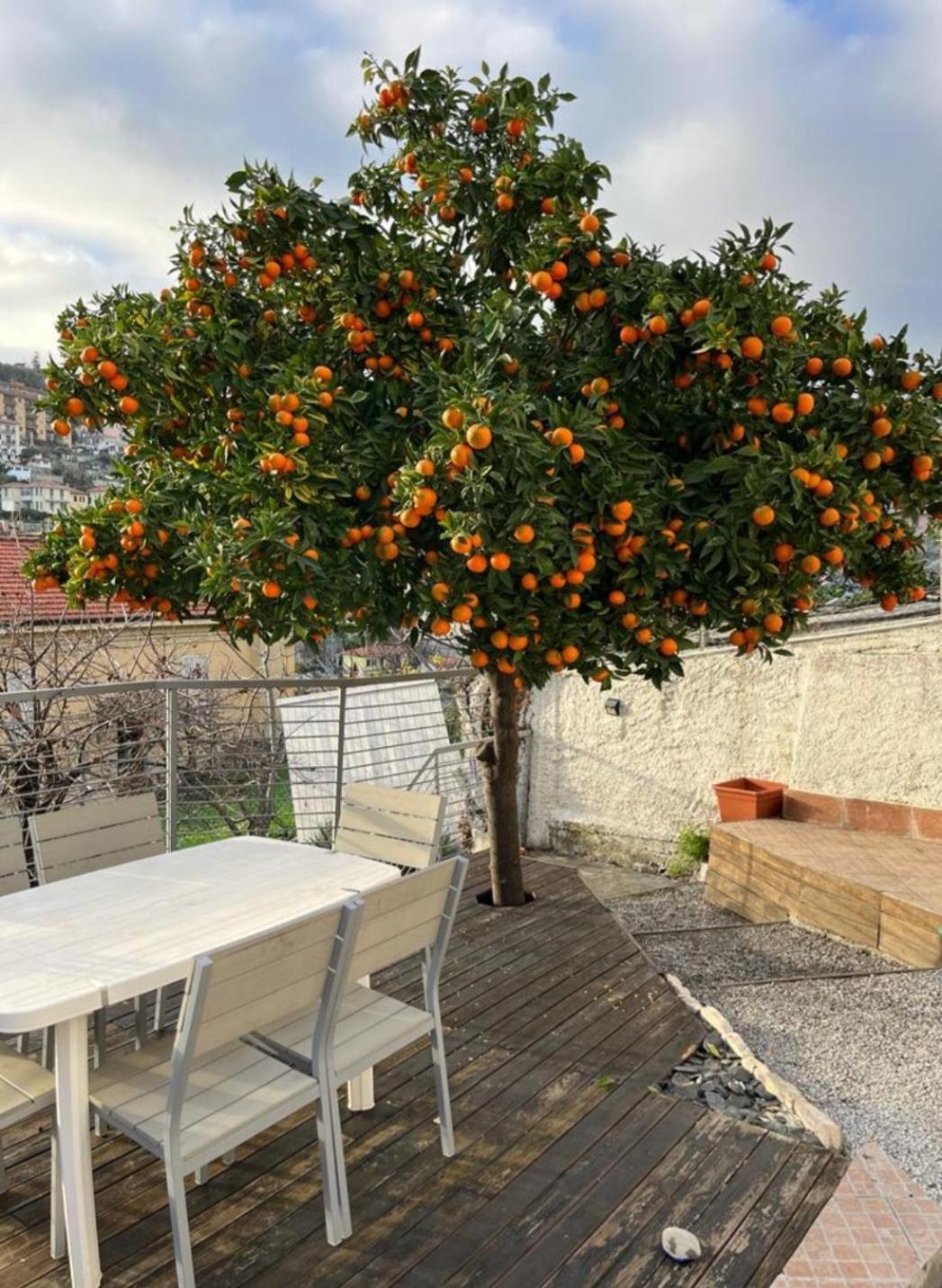 Villetta Fioregreco Sanremo Exterior photo